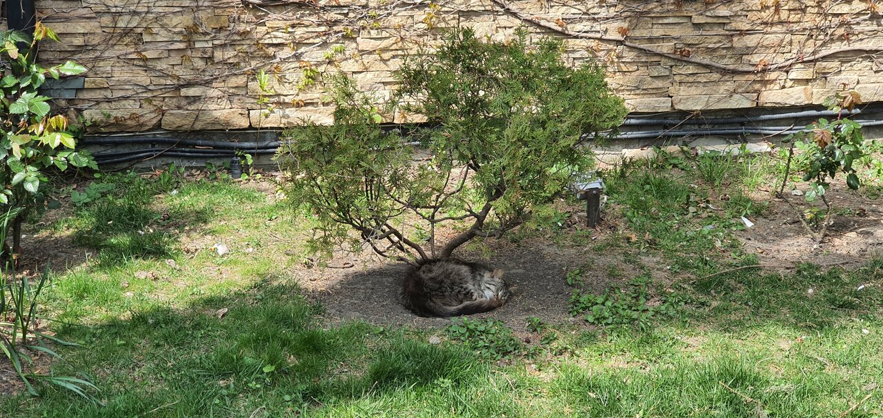 Гостиница Тортуга Небуг-204