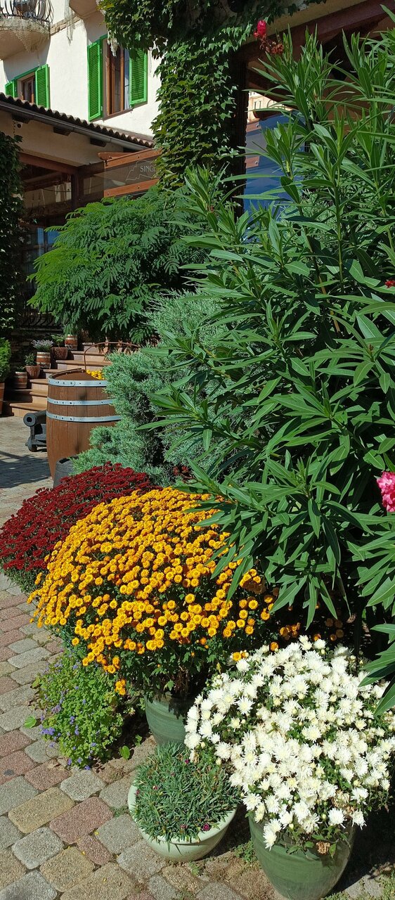 Гостиница Тортуга Небуг-168