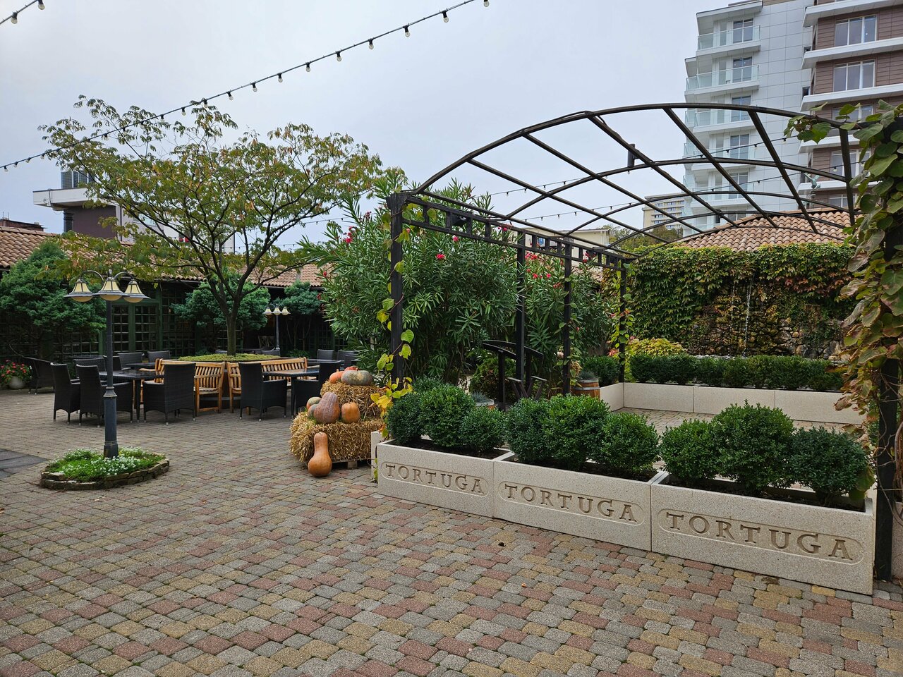 Гостиница Тортуга Небуг-228