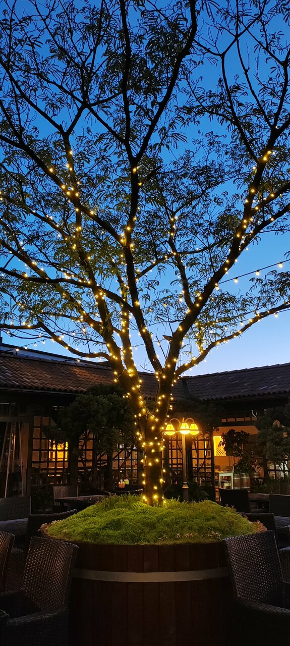 Гостиница Тортуга Небуг-242