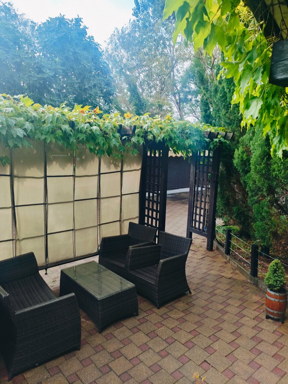 Гостиница Тортуга Небуг-220