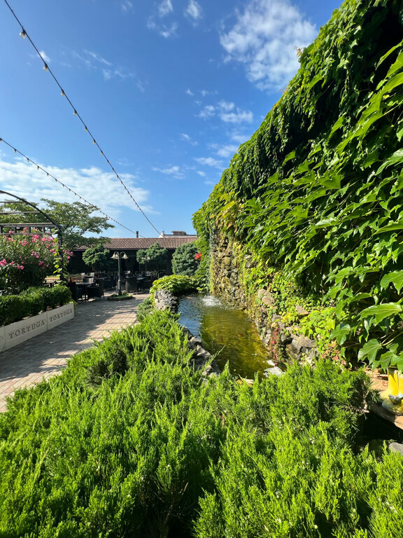 Гостиница Тортуга Небуг-140