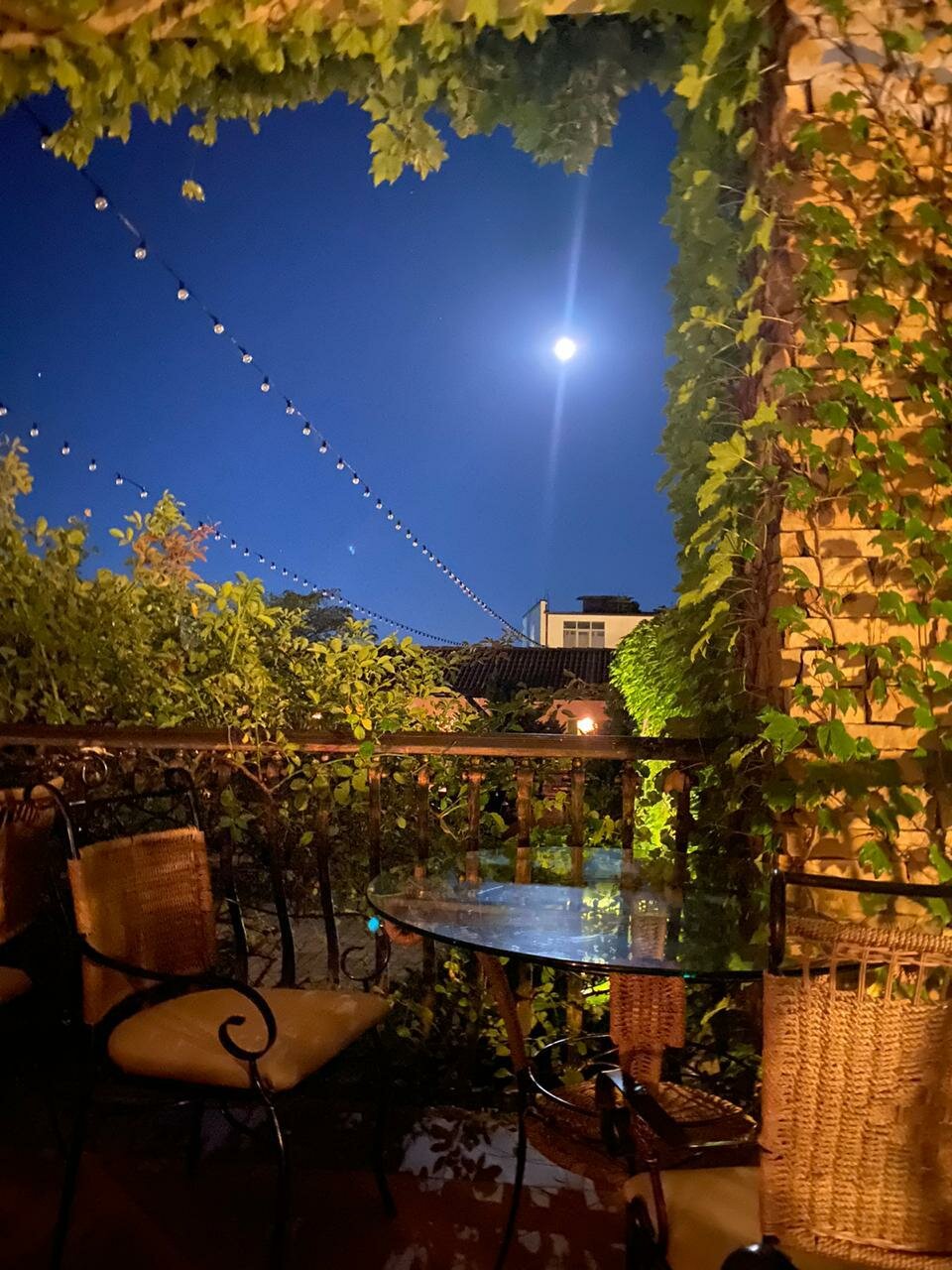 Гостиница Тортуга Небуг-49