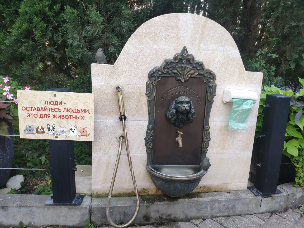 Гостиница Тортуга Небуг-147