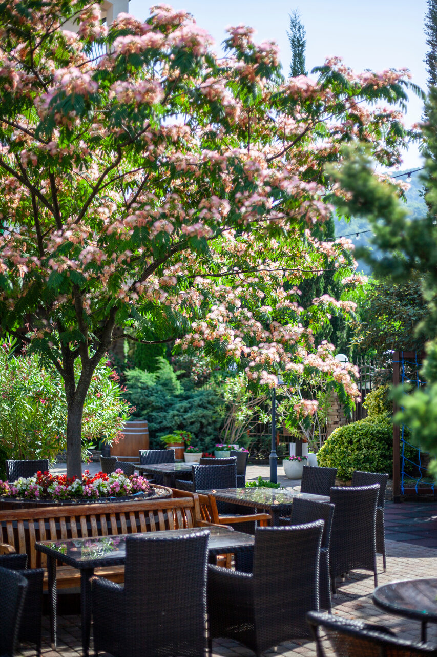 Гостиница Тортуга Небуг-195