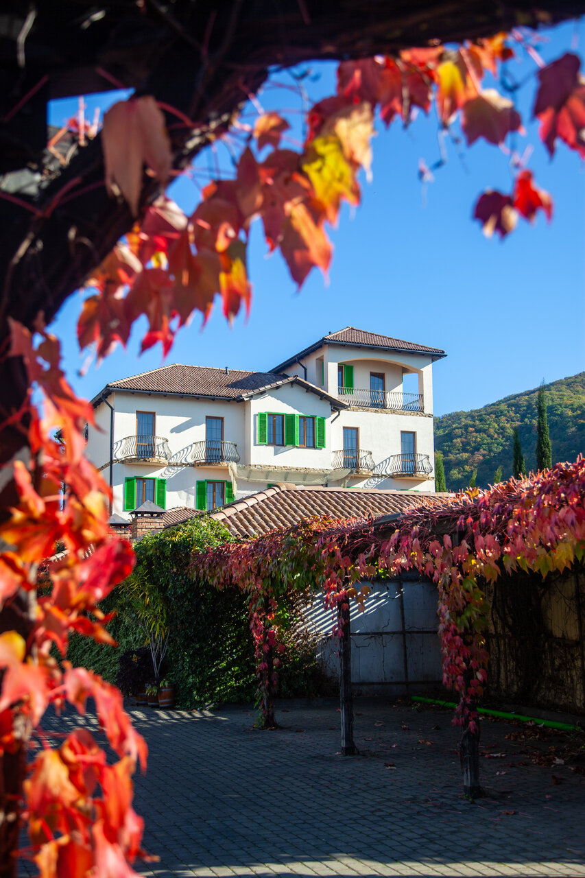 Гостиница Тортуга Небуг-190