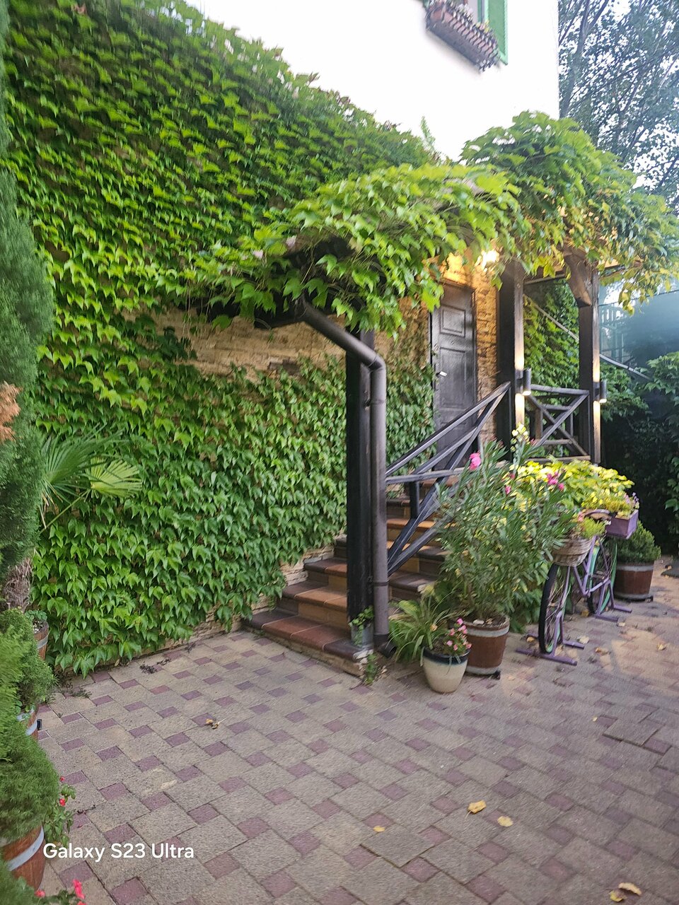 Гостиница Тортуга Небуг-166