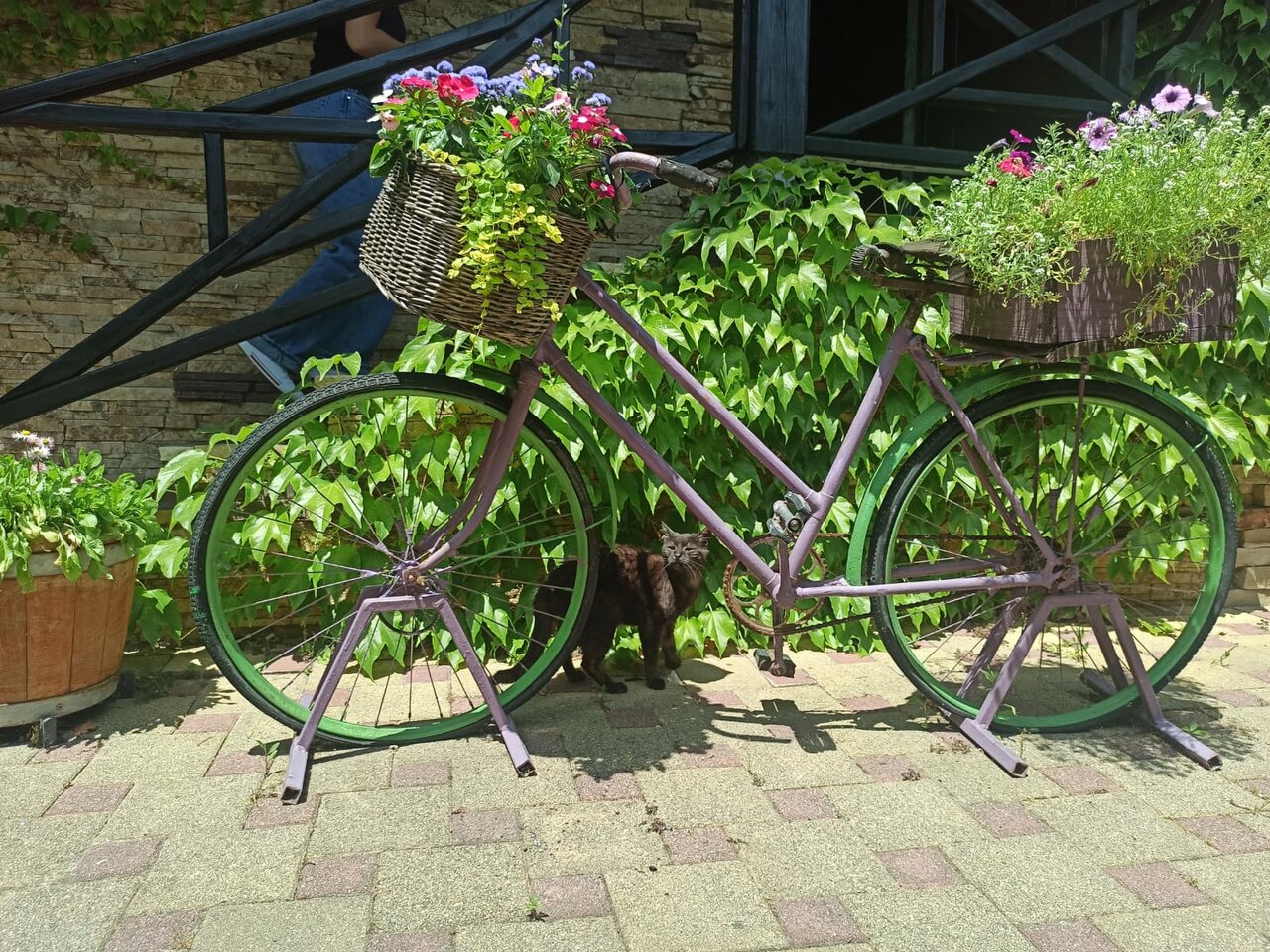 Гостиница Тортуга Небуг-241