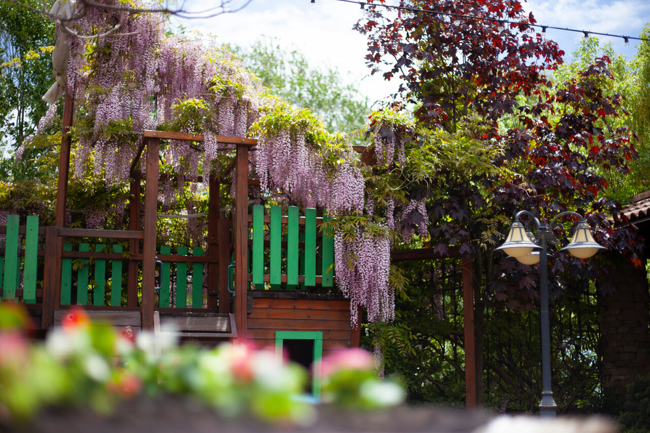 Гостиница Тортуга Небуг-25