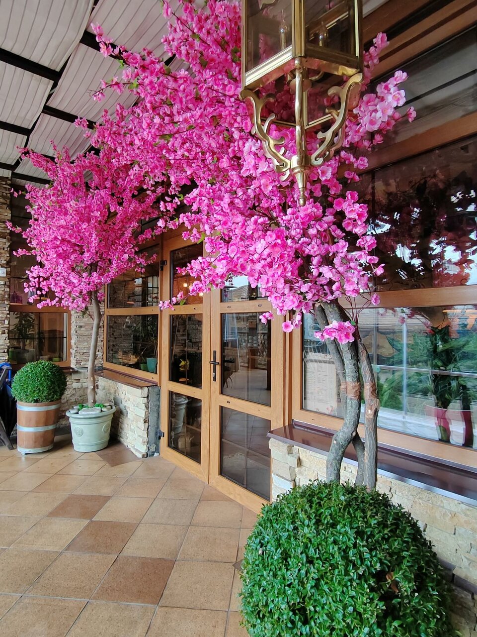 Гостиница Тортуга Небуг-63