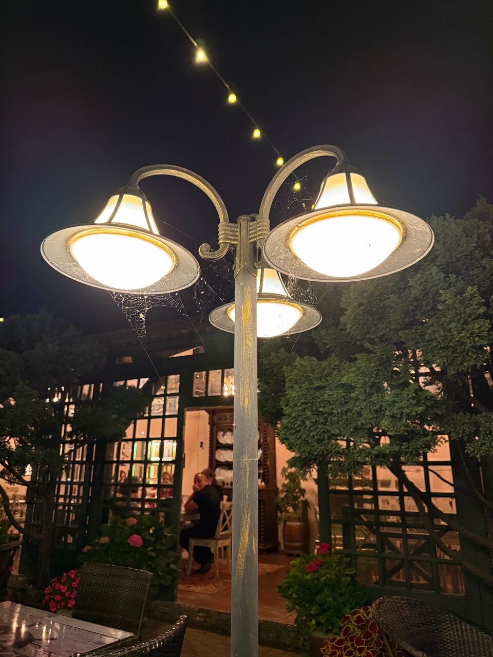 Гостиница Тортуга Небуг-118