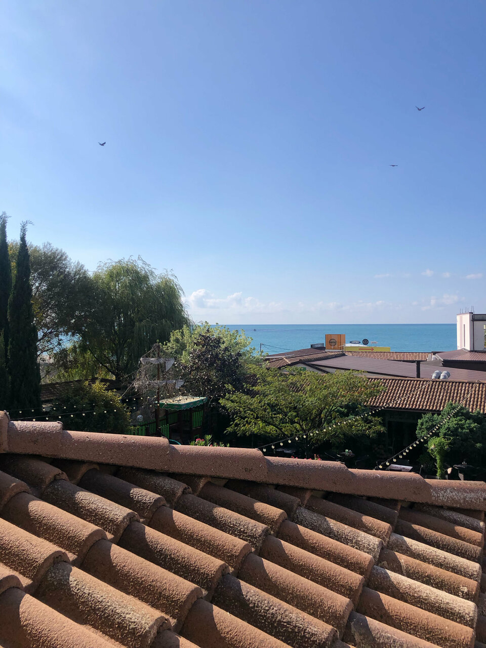 Гостиница Тортуга Небуг-181