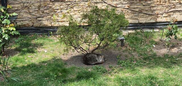 Гостиница Тортуга Небуг-203