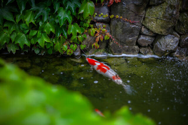 Гостиница Тортуга Небуг-43