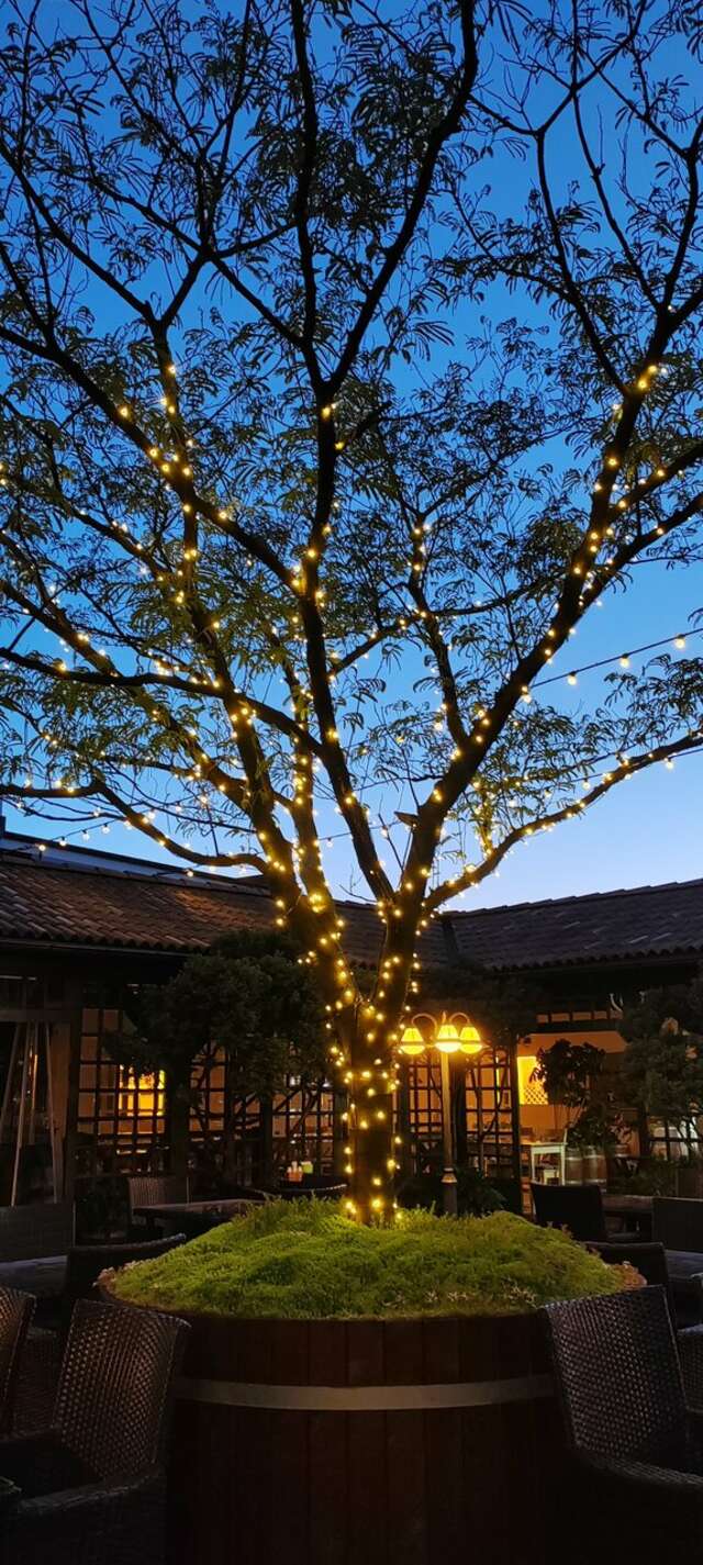 Гостиница Тортуга Небуг-241