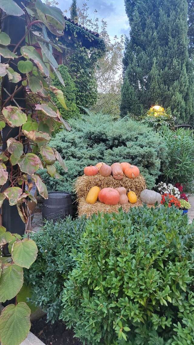 Гостиница Тортуга Небуг-197