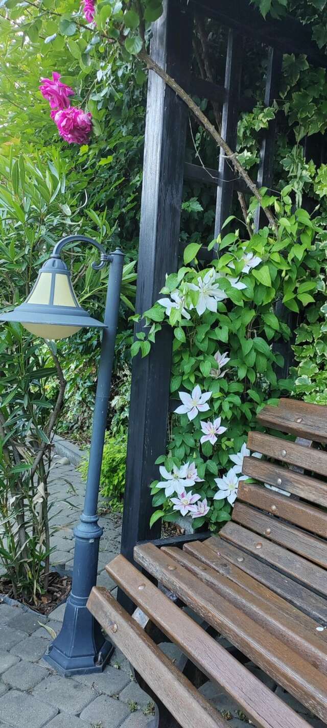 Гостиница Тортуга Небуг-201