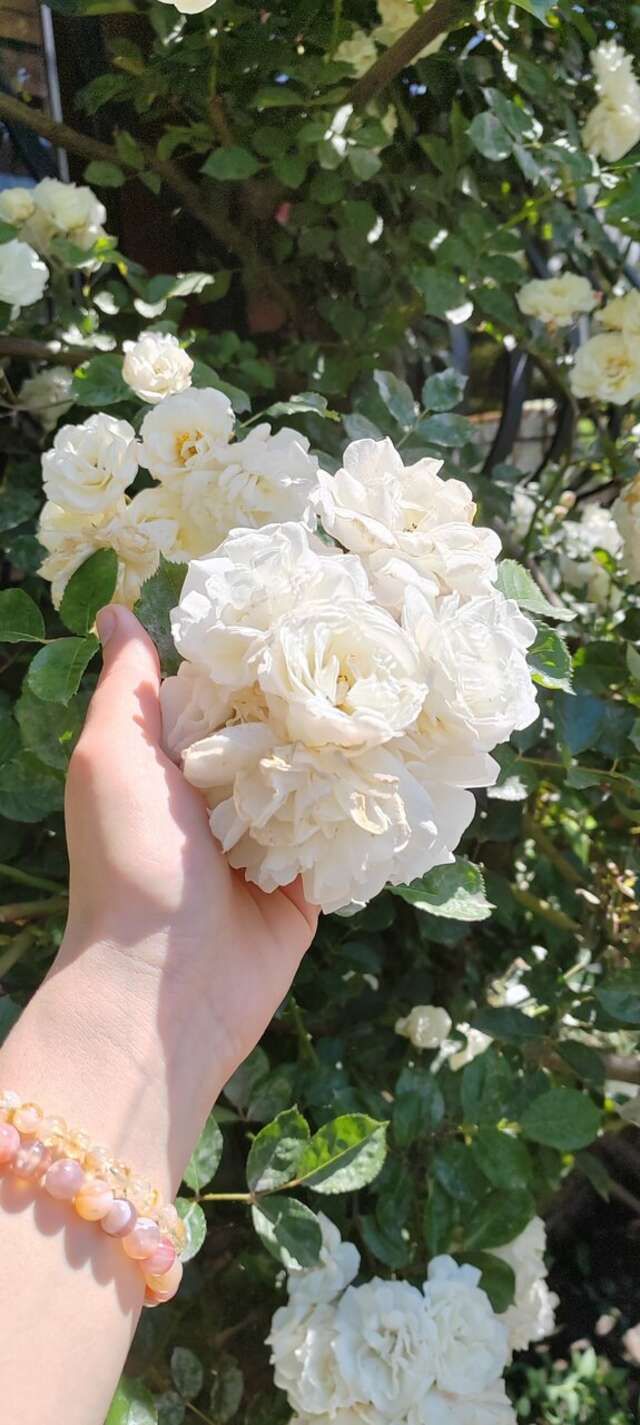 Гостиница Тортуга Небуг-198