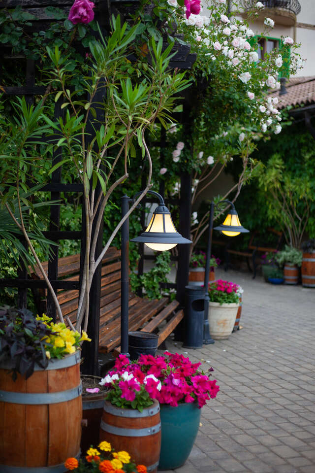 Гостиница Тортуга Небуг-99