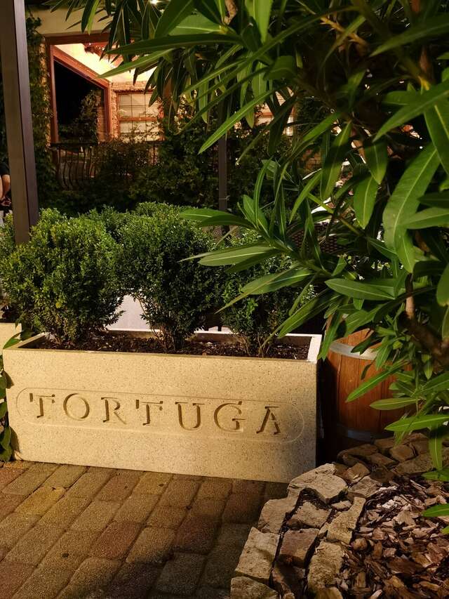 Гостиница Тортуга Небуг-173