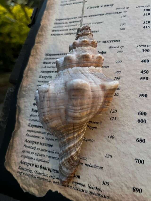 Гостиница Тортуга Небуг-154