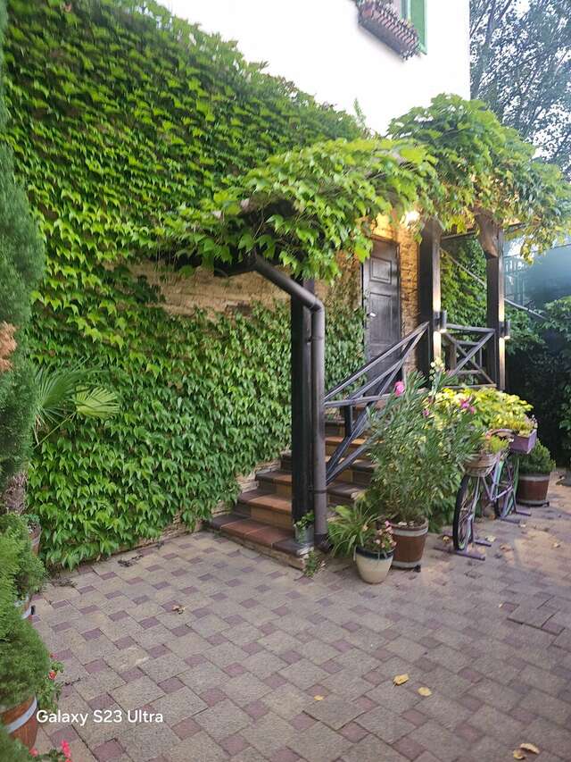 Гостиница Тортуга Небуг-165