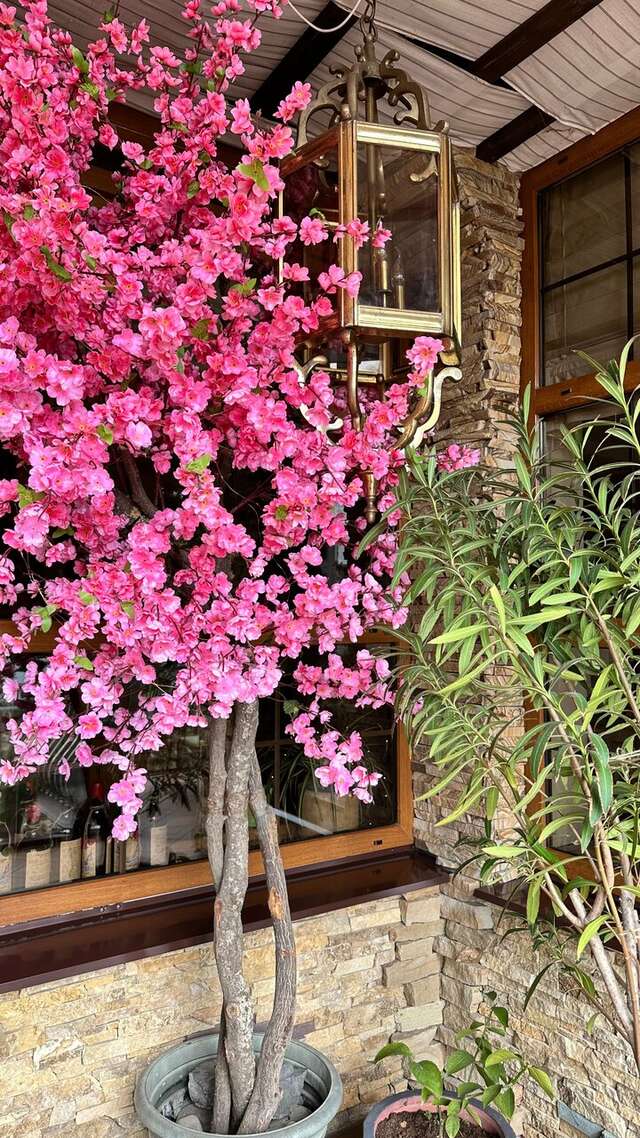 Гостиница Тортуга Небуг-143