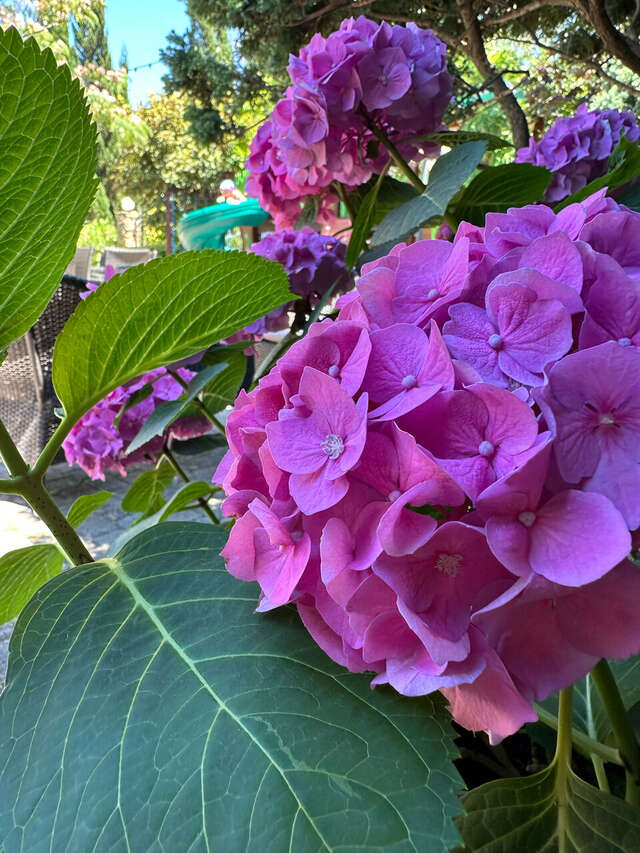 Гостиница Тортуга Небуг-119