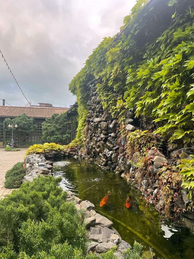 Гостиница Тортуга Небуг-193