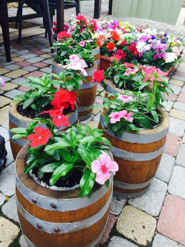 Гостиница Тортуга Небуг-18